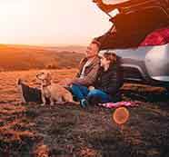 在线免费轰炸电话网页版